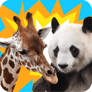 Animal Tower Battle Tournaments